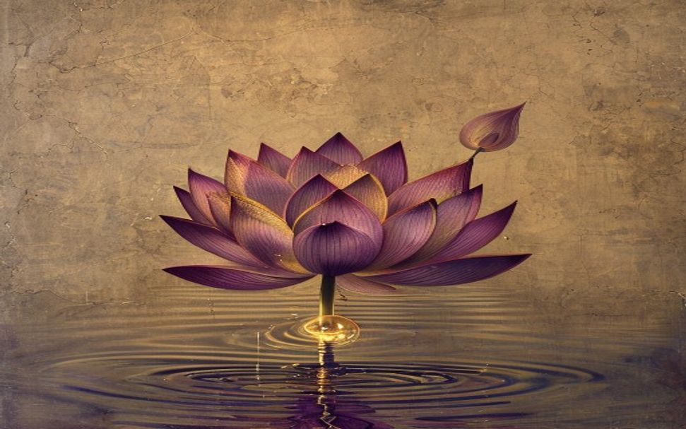 Karuna Reiki & Crystal Healing